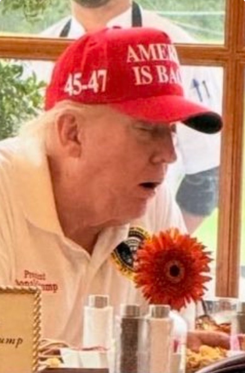 Linda M. tweet media