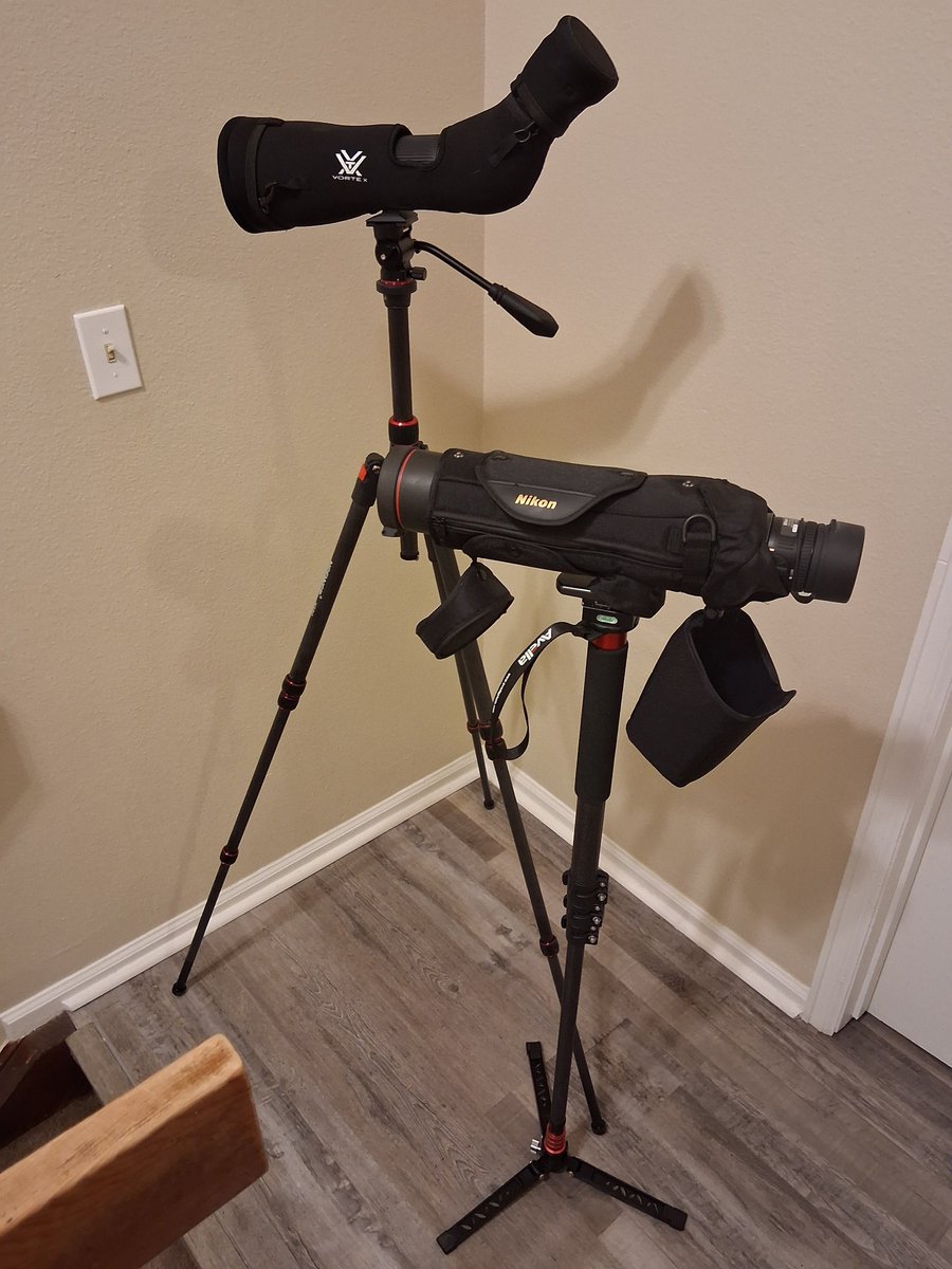 My daughter wants to bird tomorrow before she heads back to college to finish up the semester. Scopes and reservoir birding it is then.