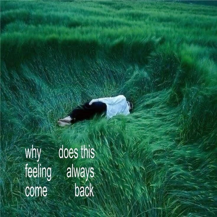 azfeelin's tweet image. 