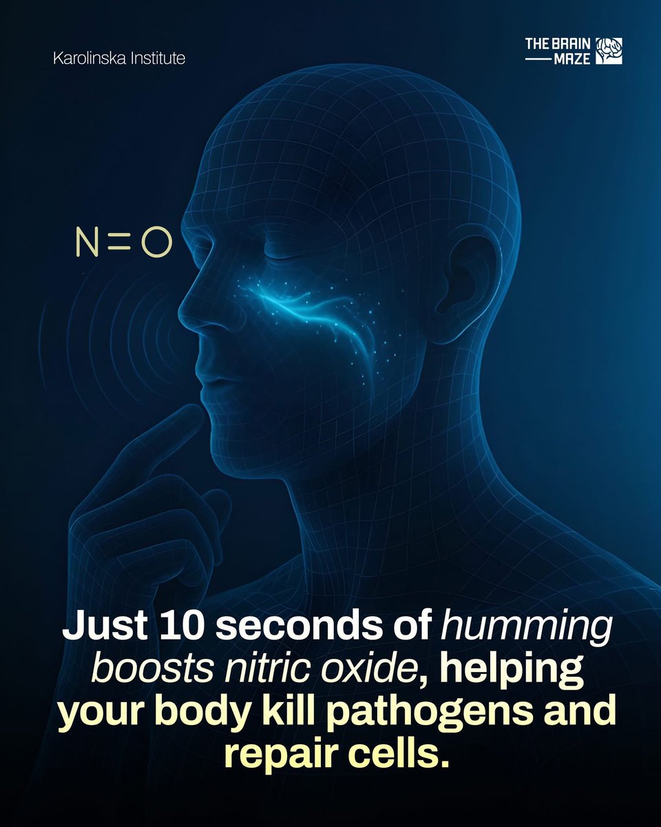 AyurvedaMonk's tweet image. BHRAMARI Pranayam (making Humming Sound) is a PseudoScience - as per some sponsored Dr. in India.😂🤡

BUT
Researchers at Karolinska Institute have found that humming, even for just 10 seconds, can significantly boost nitric oxide levels in the nasal passages. 

The vibrations…