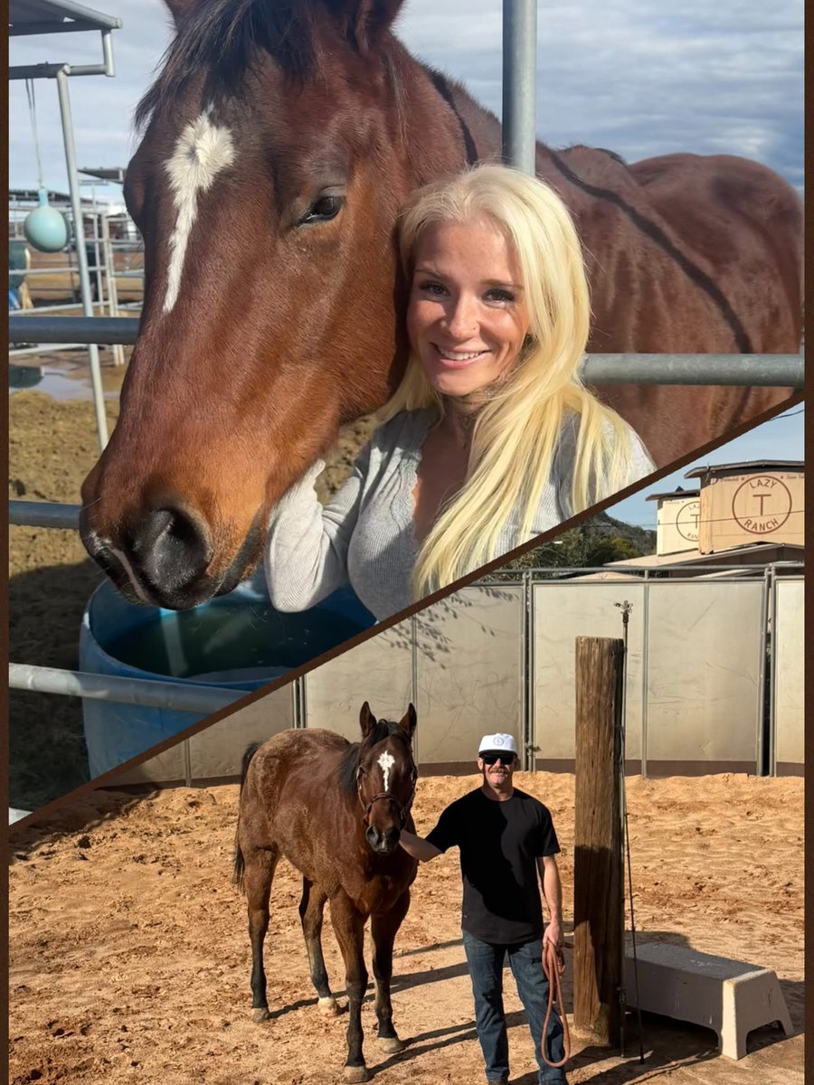 Wildatharthorse's tweet image. 🚨🥳 ADOPTION ALERT! 🥳🚨
Preacher has been adopted!!

We are over the moon to share that Preacher is officially in his new home w/the wonderful Pomish family in Palmdale! 
🧡🐴🤗
We’re so happy for him and his new humans-here’s to fresh starts, full hearts, &amp;amp; a lifetime of love!