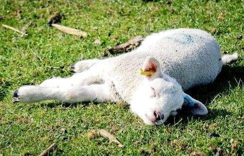 Soaking up the sun 🌞