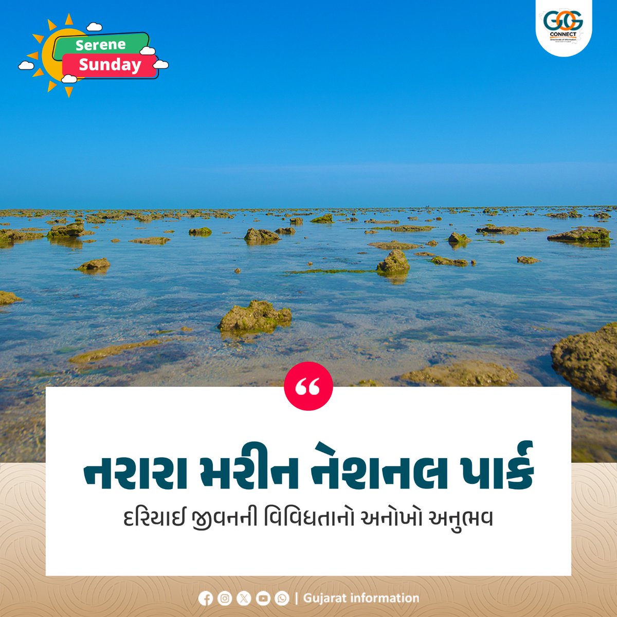 InfoGujarat's tweet photo. કચ્છના અખાતનો વિસ્તાર દરીયાઈ જીવ સૃષ્ટિ માટેનું સ્વર્ગ માનવામાં આવે છે. તેમાં પણ નરારા ટાપુ પર જોવા મળતી વિશિષ્ટ પ્રકારની દરિયાઈ જીવસૃષ્ટિ સહેલાણીઓને રોમાંચક અનુભવ પ્રદાન કરે છે. 

#SereneSunday #MahitiMorning #Nationalpark https://t.co/DgKYzr8rKW