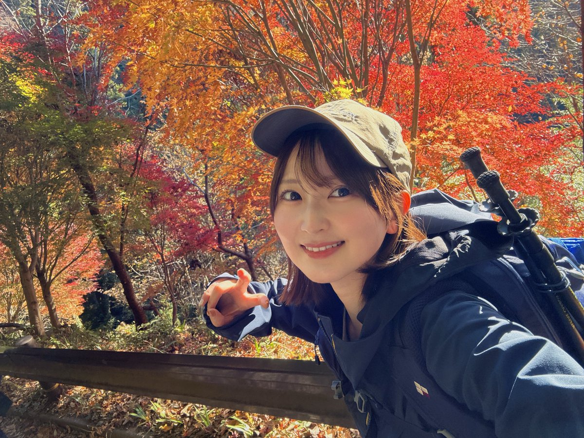 佐藤照雄 (@teruosatou) / Posts / X