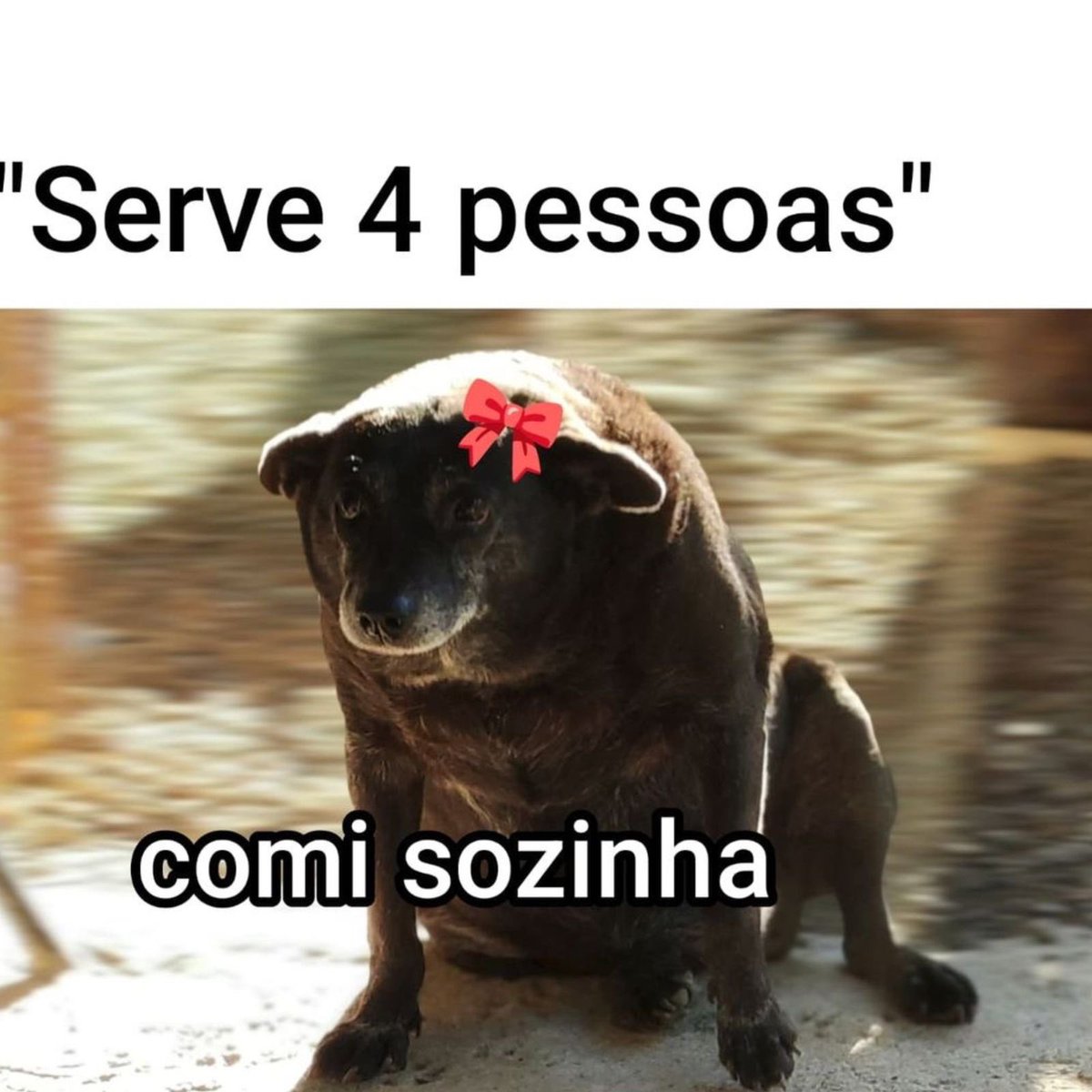 QinSov's tweet image. Misto quente