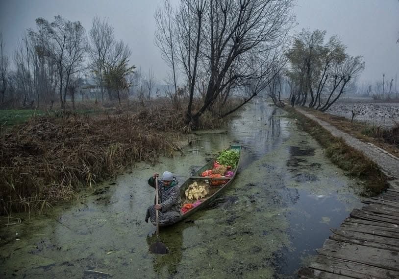 A man rows his vegetable-laden boat through the interiors of Dal Lake on a cold morning!

Photo <a href="/javeddar786/">Javed Dar</a>