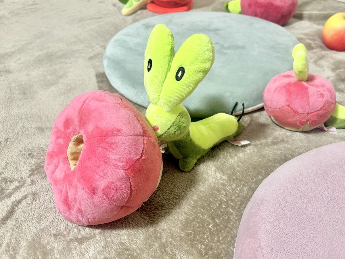 こちらが世にも珍しい カジッチュの中身です🍎