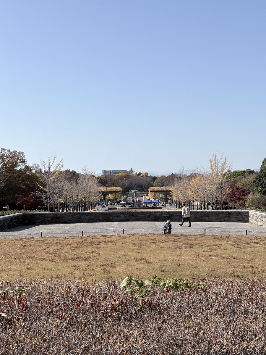 SattyArala's tweet photo. 昭和記念公園なう
のーこんさんいないかな(*´艸`) https://t.co/LDuBxt6c1R