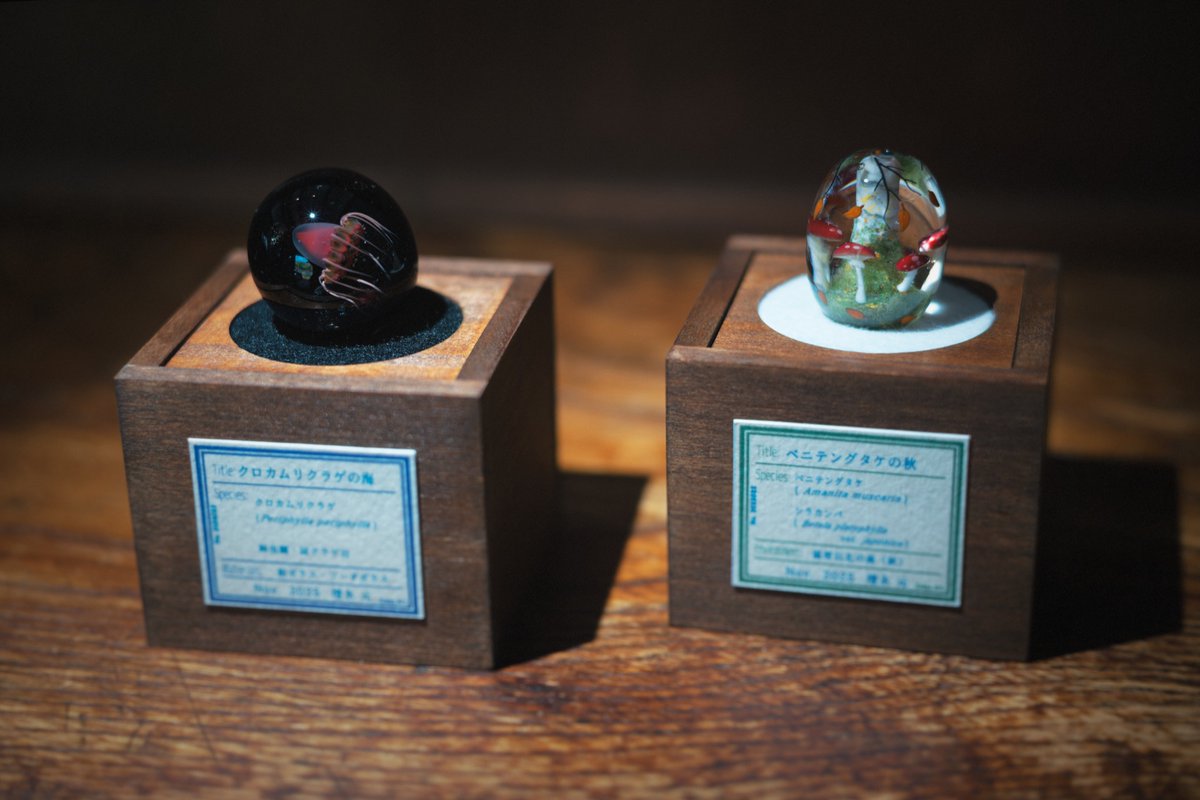 11月の作品＆木箱

トンボ玉用の箱のデザインを少し変えてみたけどイイ感じです