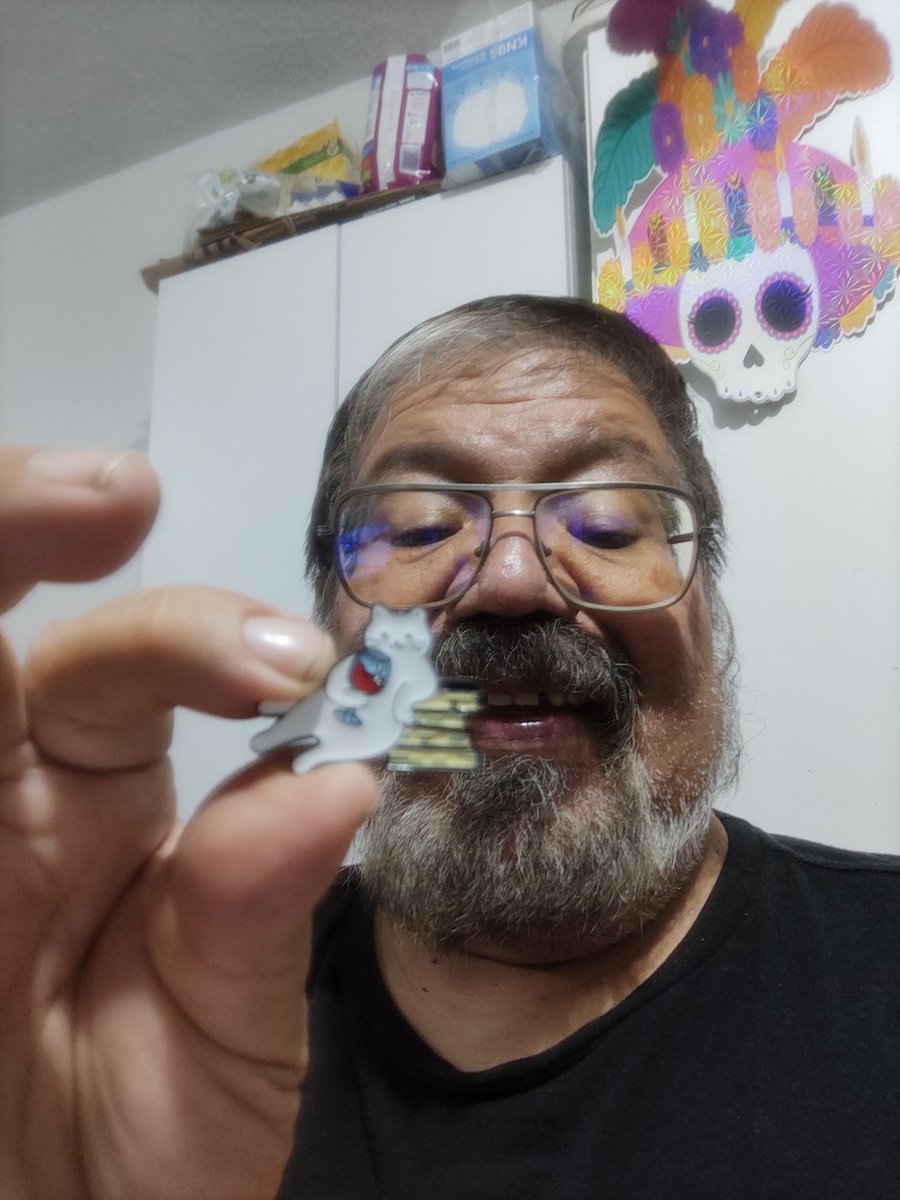 Deformación profesional. Creo que no les había enseñado mi pin de gato lector.