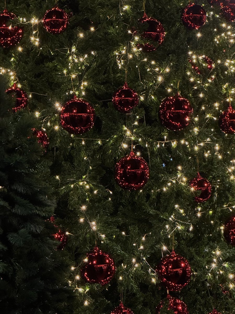 lostyouinmay's tweet image. “only 25 days until christmas 🎅🏻🧣🎄