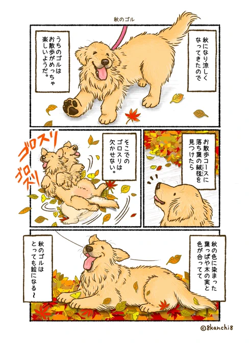 紅葉シーズン真っ只中なので
『秋のゴル』再掲しようʕ•ᴥ•ʔ🍂ゴロスリ✨ 