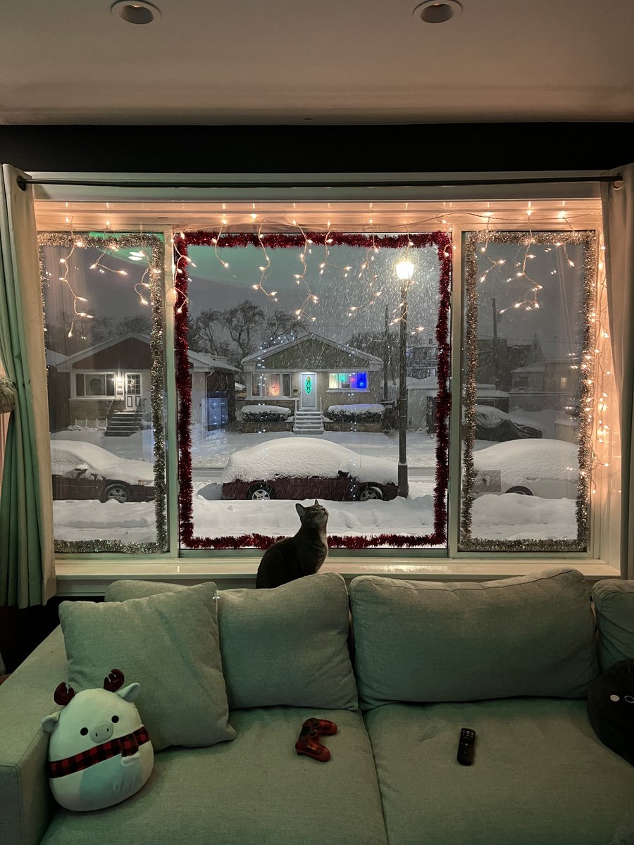 my cat right now 😭😭😭😭😭😭😭