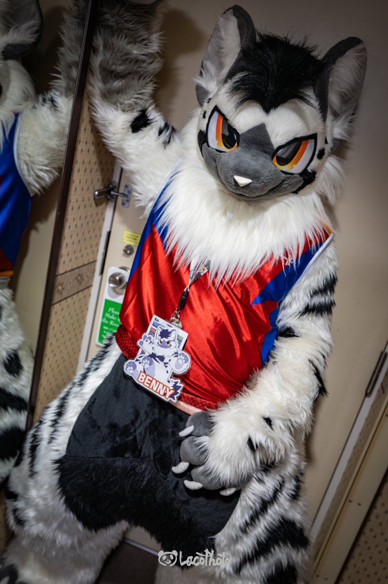 すごくかっこいい写真なんだけど…ベンニのおしりが大きすぎて、体操服が下まで引っ張れないよ…😇

📷 :<a href="/Lacotot/">Laco🐼📷➡️JMoF2026</a>