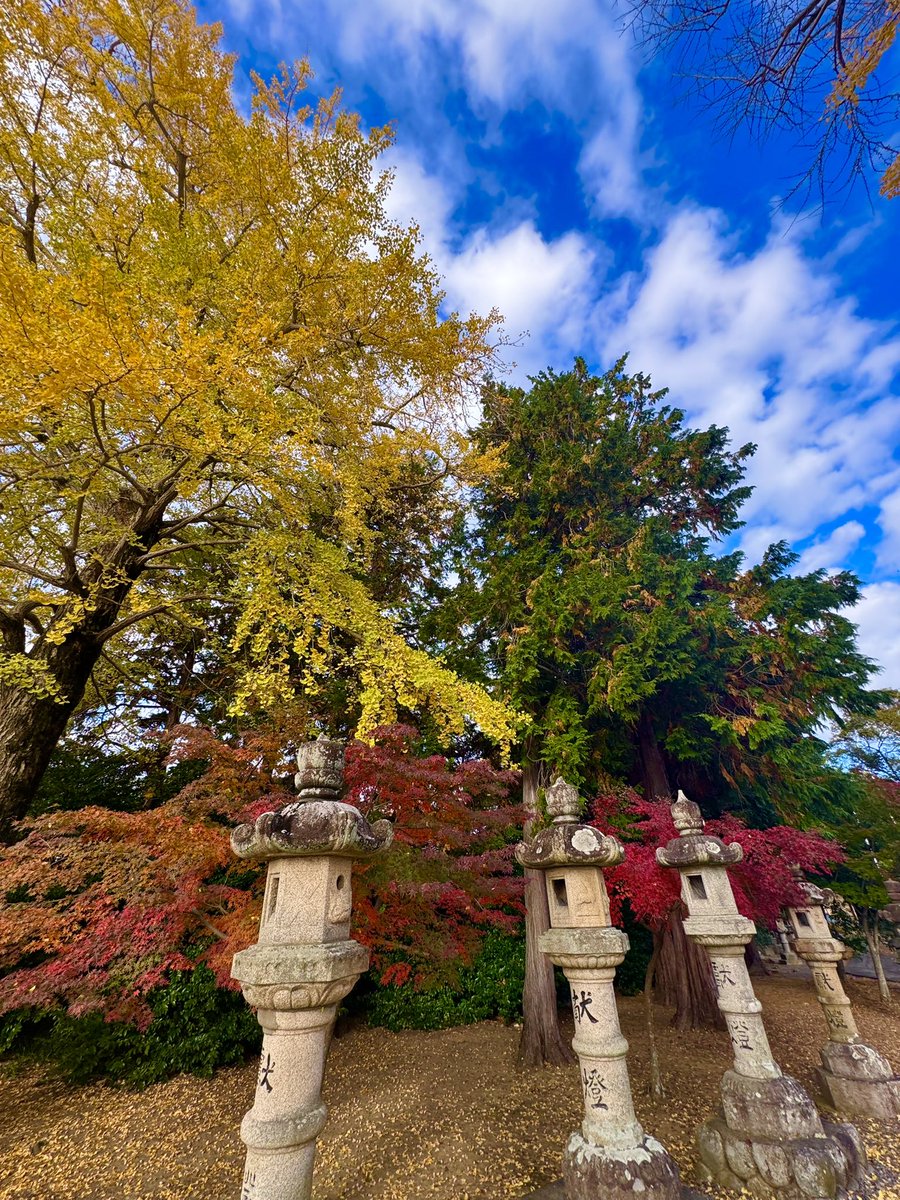 DsCompany1990's tweet photo. 今週で紅葉🍁も終わりかな！
皆さんお身体ご自愛下さい♪

#写真好きな人と繋がりたい 
#有限会社ディーズ https://t.co/pQPmLkpLGm