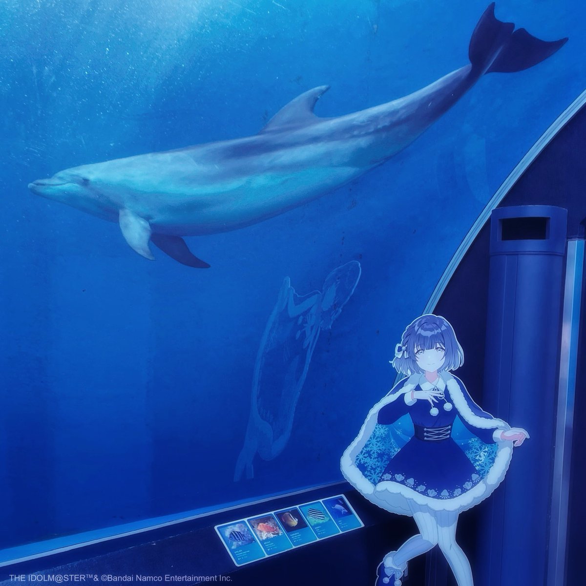 公式】横浜・八景島シーパラダイス アニメ/ゲーム部