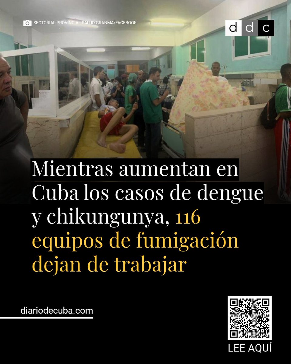 diariodecuba's tweet image. #SOSCuba: El #MINSAP reconoce que la situación epidemiológica de #Cuba sigue siendo “compleja”, mientras los casos de #dengue y #chikungunya aumentan en todas las provincias y se detectan más de 500 focos de infección en un día.

LEE MÁS en #DiarioDeCuba: diariodecuba.com/cuba/176426736…