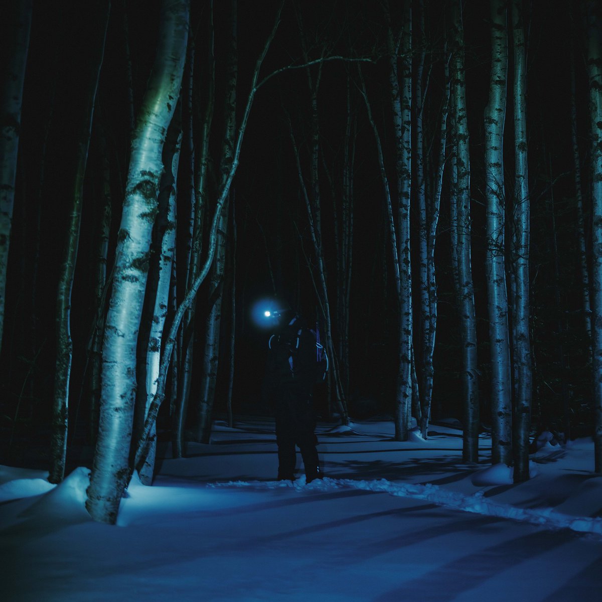 SORA (@ill_com) / Posts / X