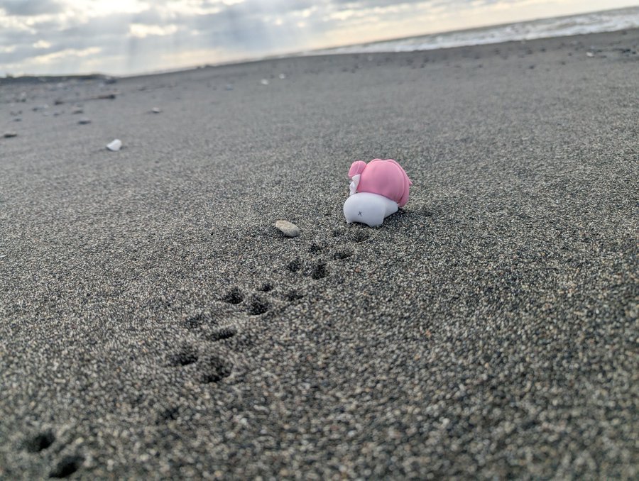 Onlycryptonopo2's tweet image. The rules for the humans are do not disturb or hold up the doro. Stand still and let him go on his way. And here, he&apos;s heading off into the interior of the vast ocean. With 50,000 kilometers ahead of him, he&apos;s heading towards certain death.