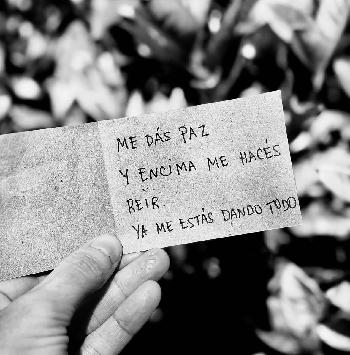 Pensamientos tweet media