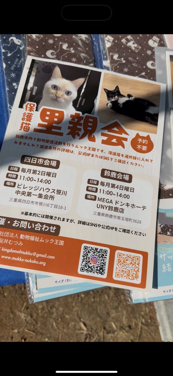 白湯ページ 白湯 (@sa0417yu) / Posts / X