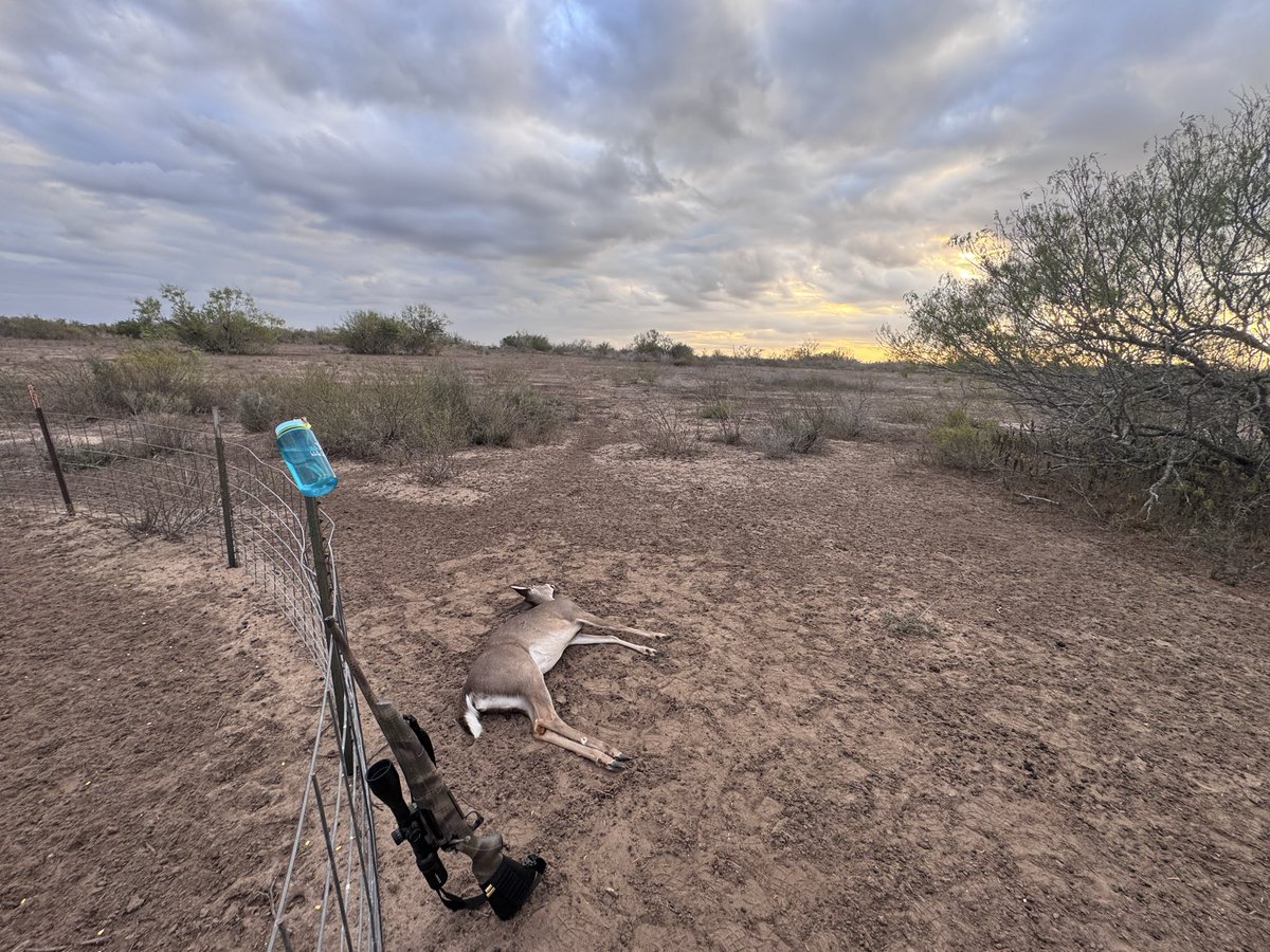 HatchConcepts1's tweet photo. Filling up the Freezer this year!
Thanking God for the opportunities given. Using my Remington 770 243 with Federal Powershock https://t.co/r5MYb164j0