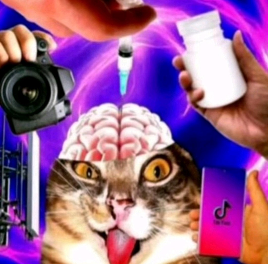 _baconbaker2's tweet image. Nem amo não né