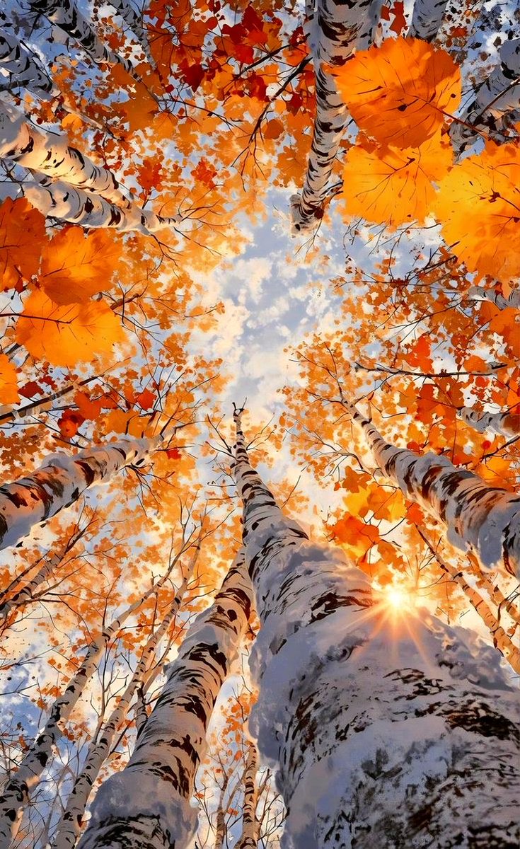 🍁☀️🍁Happy Sunday 🍁☀️🍁