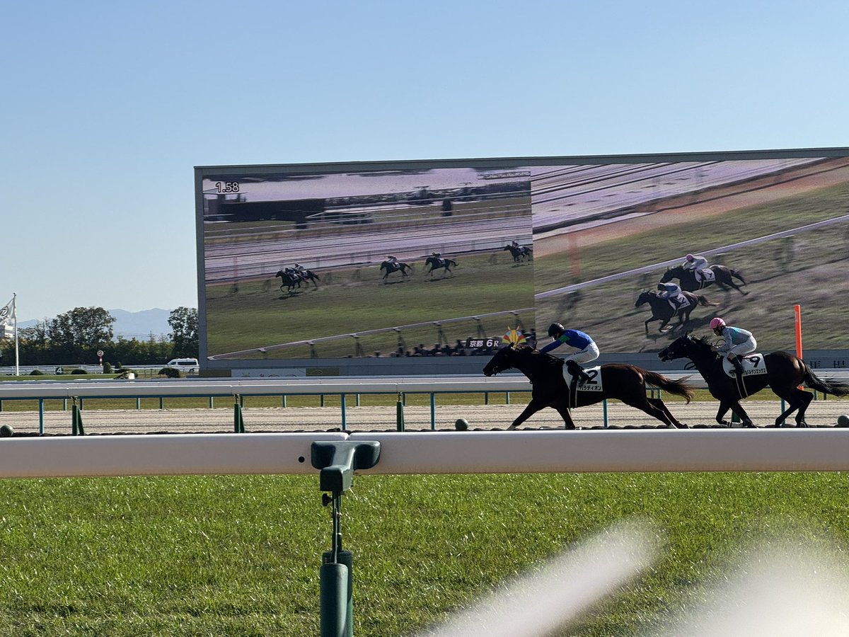 競馬　一口馬主出資パネル IMG_5491-300x197.jpg