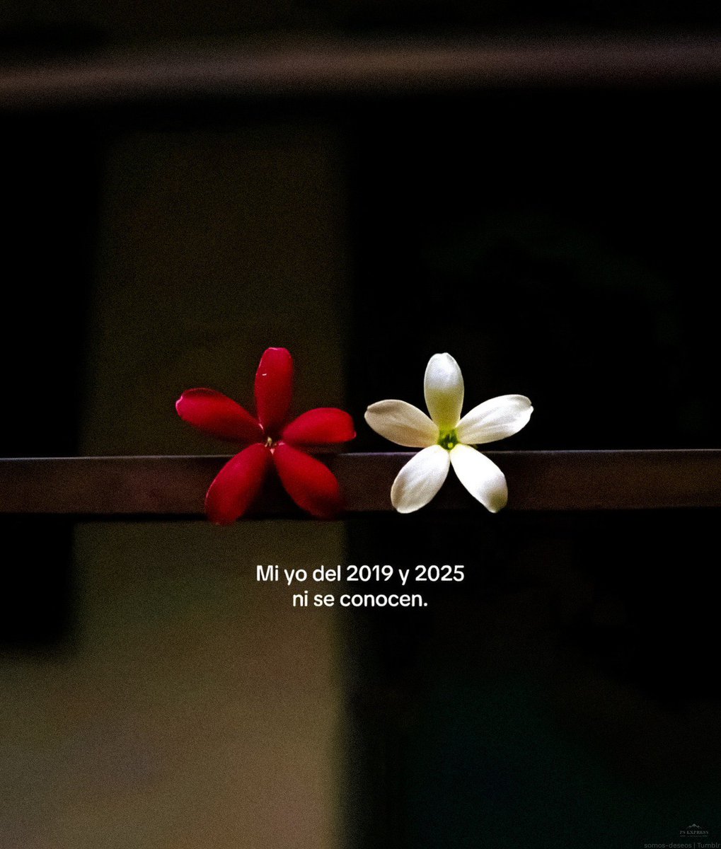 kari_ok6's tweet image. 