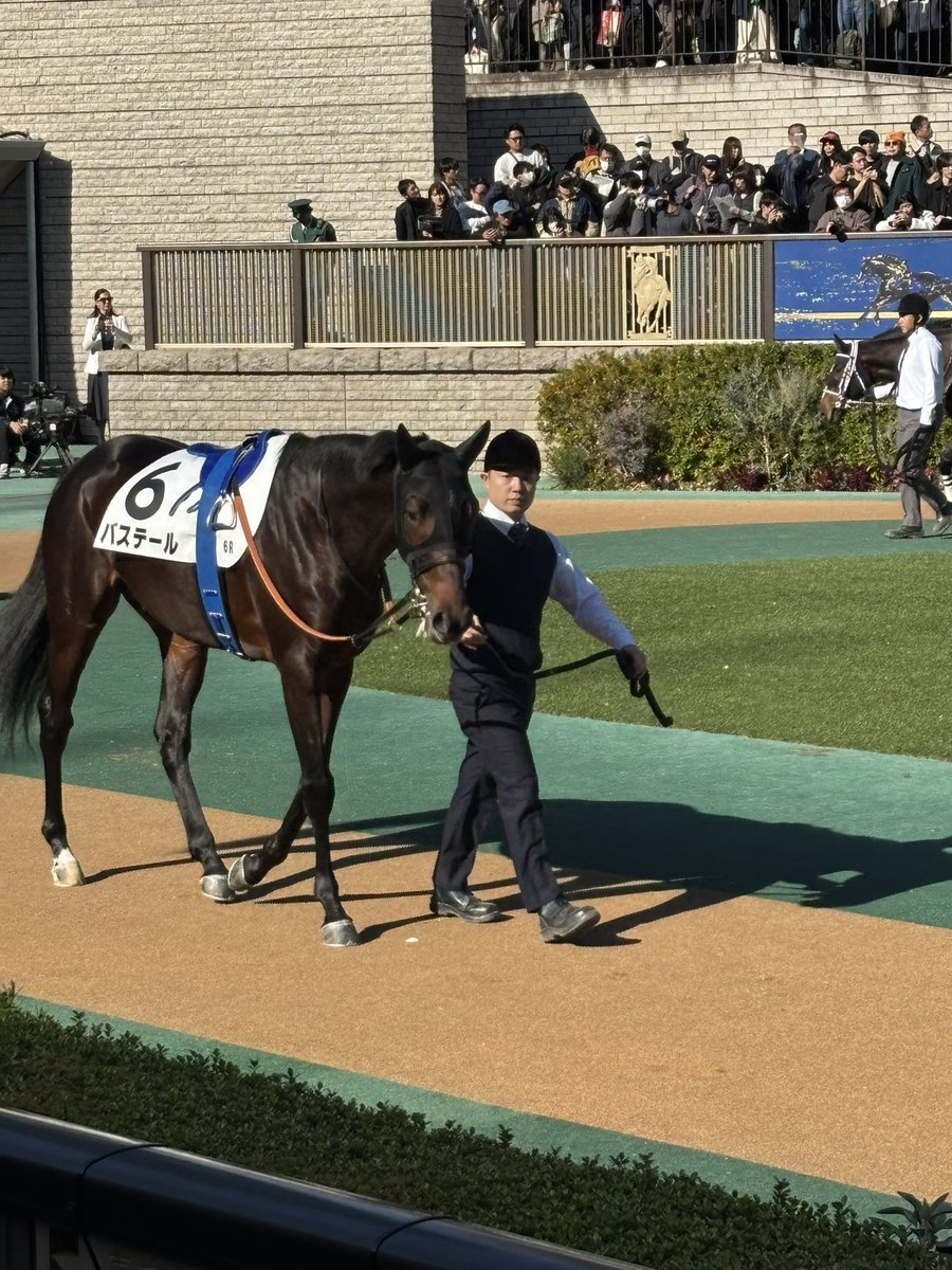 Perfect_HC's tweet image. バステール　よく詰めたが2着まで
お疲れ様

叫び疲れた、、、喉痛い
初口取りならず残念