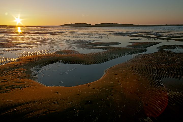 Fine Art Norfolk Photography tweet media