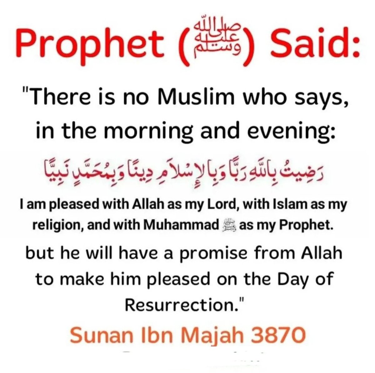 Dailyremindrs_'s tweet image. The Prophet (ﷺ) said: