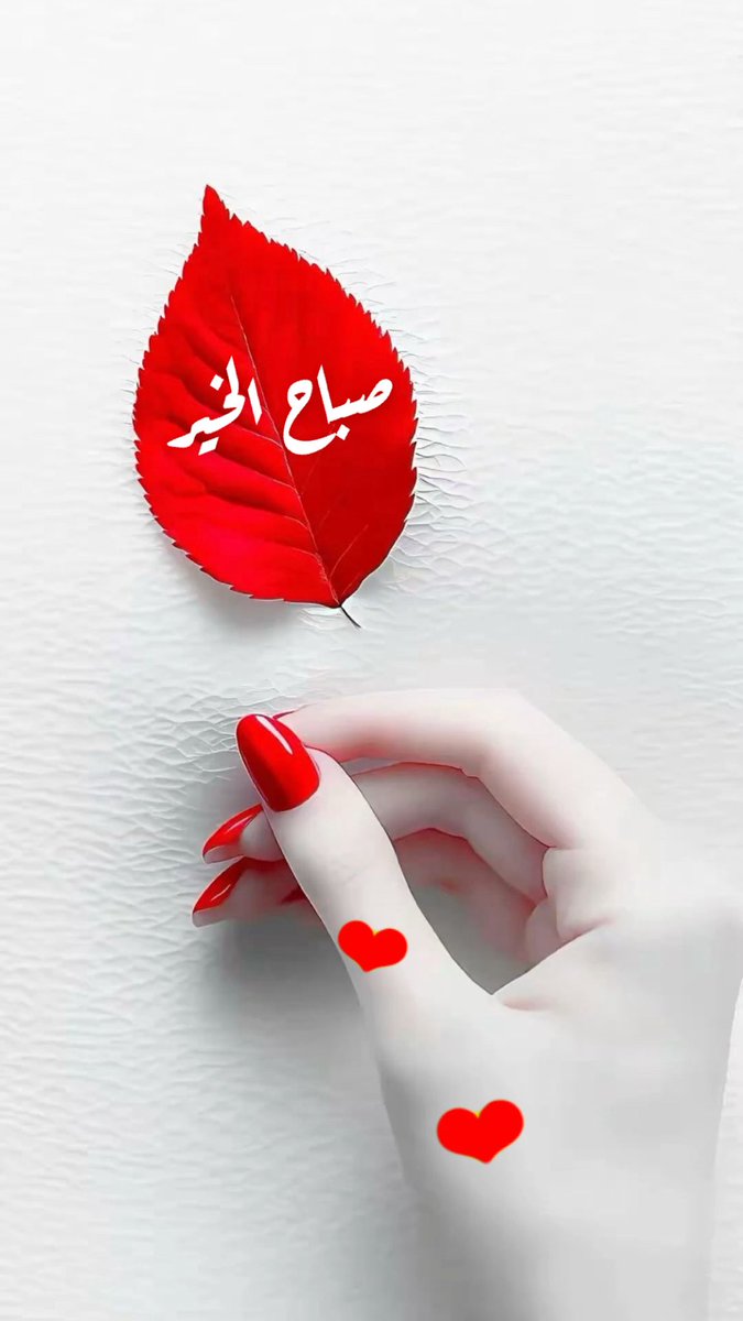 ltz_hla's tweet photo. صباح الخير والسعاده❤️❤️ https://t.co/MzKbgEDMbX