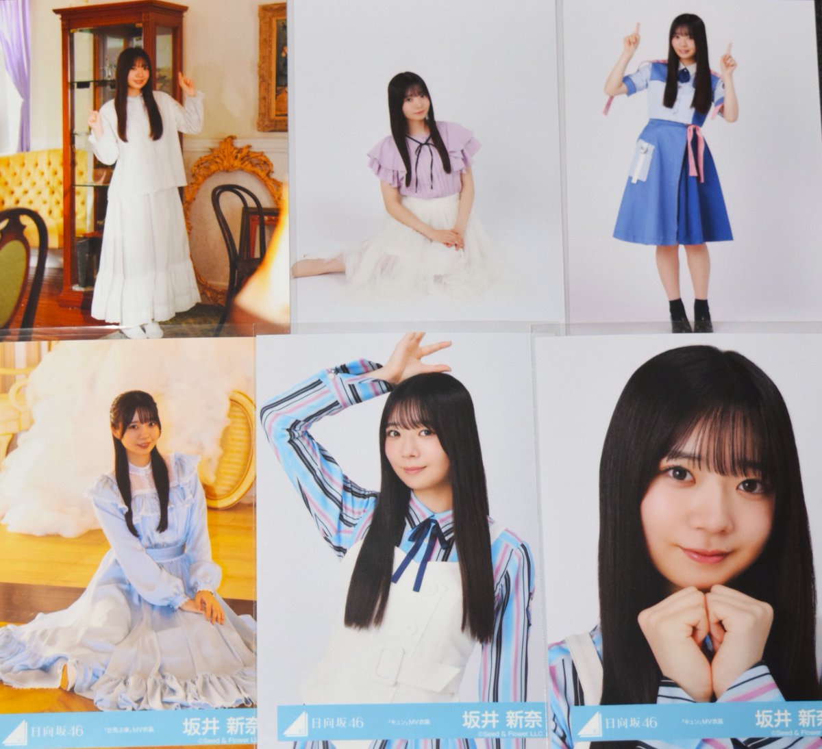 日向坂46生写真 #坂井新奈 【生写真差し上げます】 1 このツイート