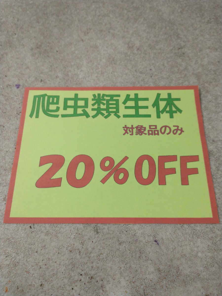 11/30  早いですね〜　もう12月直前です。爬虫類20%off やっております。
お早めに〜
＃コオロギ ＃イトミミズ #爬虫類 #熱帯魚  #爬虫類好きの人と繋がりたい #熱帯魚好きと繋がりたい #熱帯魚ショップ  #アクアショップ    #あくあこねくしょん