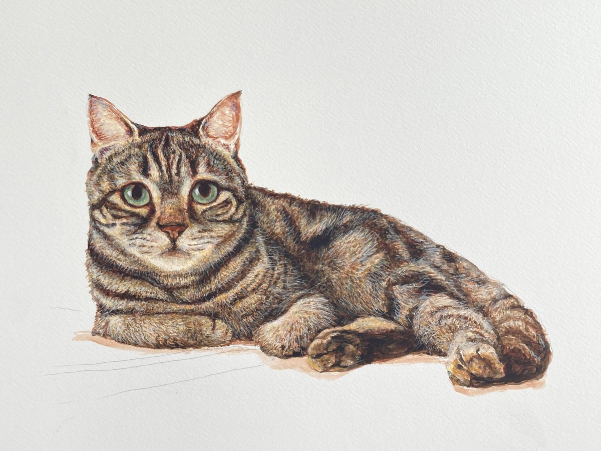猫絵 🐈‍🖼の途中経過 in progress その3 初心者の方を対象に