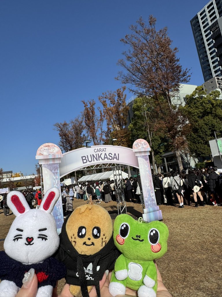 ひちゃん (@crsc__mg11) / Posts / X