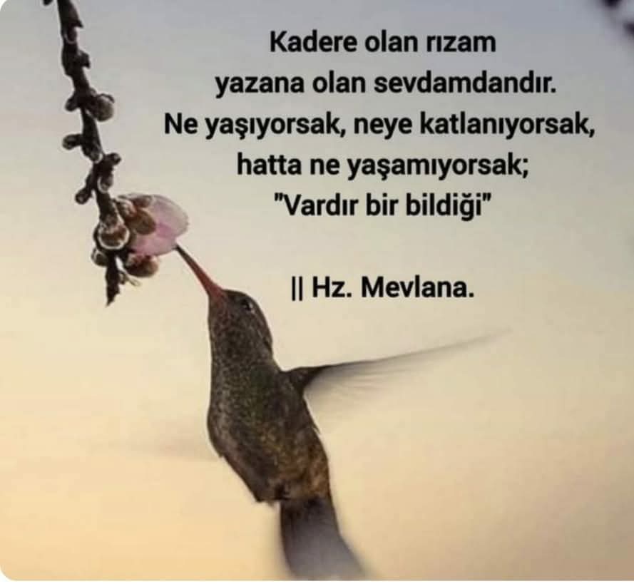 Selamun Aleyküm..
𝓗𝓪𝔂ı𝓻𝓵ı 𝓱𝓾𝔃𝓾𝓻𝓵𝓾 𝓶𝓾𝓽𝓵𝓾 𝓼𝓪𝓫𝓪𝓱𝓵𝓪𝓻..
"Müminin iki yureği vardır biri kanar, diğeri sabreder"
Hz. Ali
