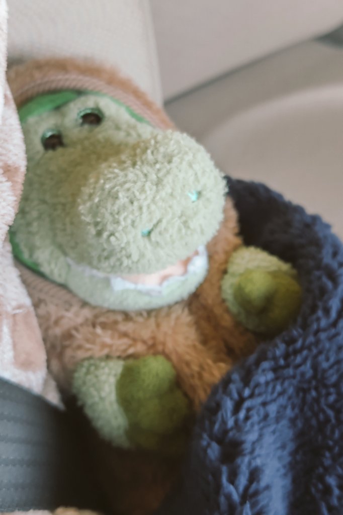 tenpura_araune's tweet image. 急なお出掛けに
わくわくが あふれでているワリw

🐊🍉「どこいくー？」
#ワーリー