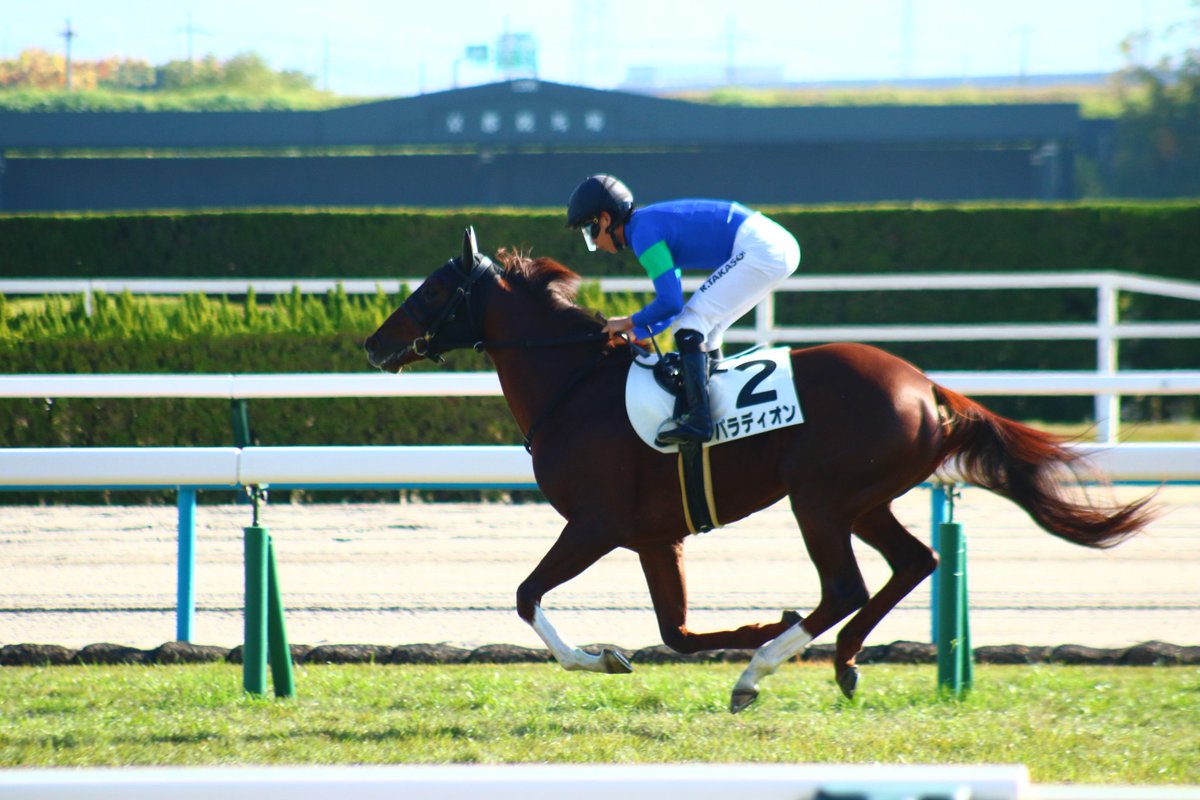 メイクデビュー京都