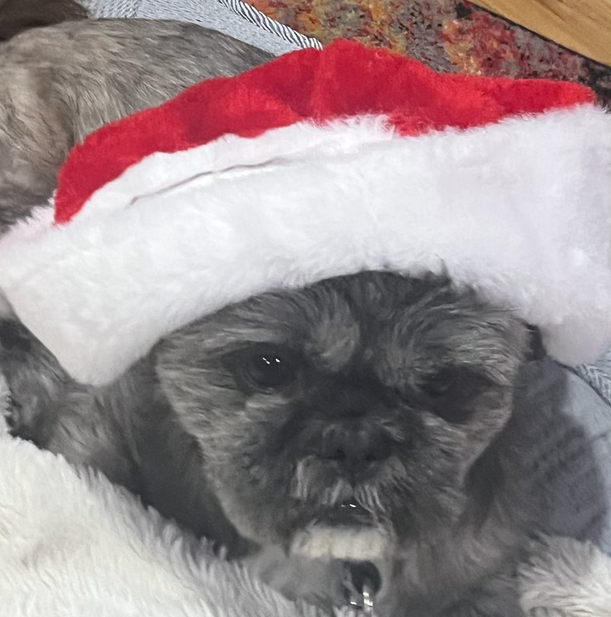 The Toeless Runner tweet media