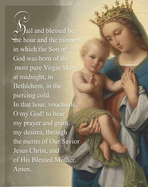 The St. Andrew Christmas Novena starts tomorrow on the feast of St. Andrew and this year as well, the start of the liturgical new year! It is traditionally prayed 15 times a day, from November 30th until Christmas Eve. 🙏🤍🎄