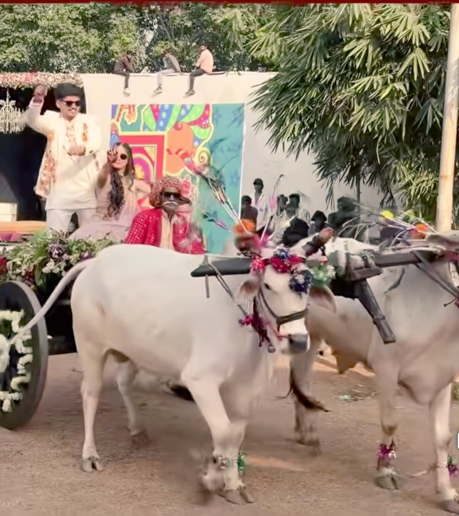 AjitYadav260's tweet image. मध्य प्रदेश के मुख्यमंत्री डॉ मोहन यादव जी के लड़के की सगाई का वीडियो वायरल है 

जिसमें लड़की और लड़के दोनों लोग बैलगाड़ी से जा रहे है

इतने बड़े पद पे होने के बाद मोहन यादव ने अपनी पुरानी परंपरा को फिर से जीवित किया है 

आज के समय में लोग शादी में सोचते है कितनी अच्छी गाड़ी करे…