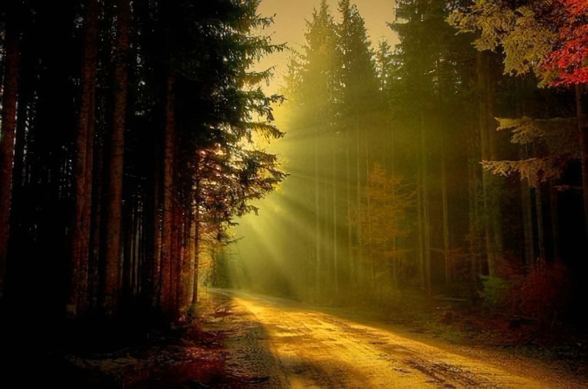 Jesús en el #EvangelioDeHoy nos recuerda la importancia de la vigilancia cristiana: “Velen, pues, y estén preparados”. “Velar” y “estar preparados” son dos verbos que, en modo imperativo orientan nuestro camino del Adviento 2025… ¡Caminemos en gracia a la luz del Señor! Así sea.