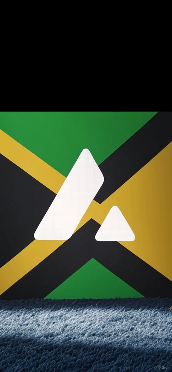 We repping <a href="/avax/">Avalanche🔺</a> 🇯🇲🤴🏿 #blackriver #jamaica