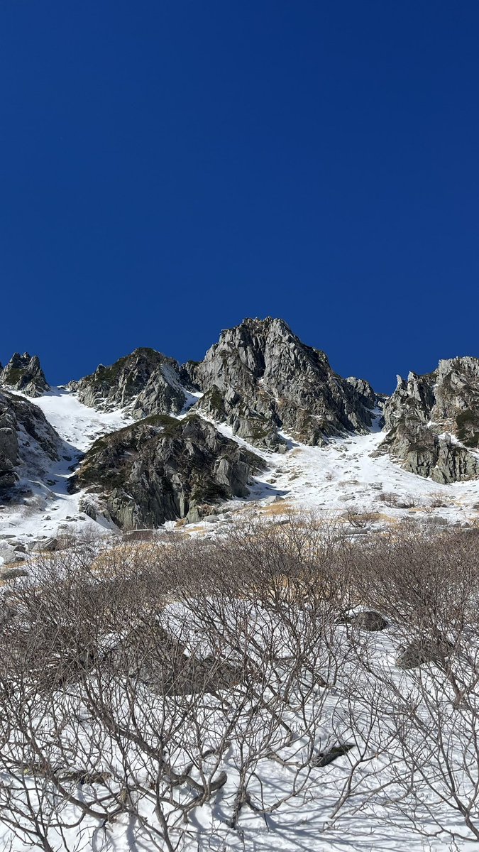 yuriaroses's tweet photo. 雪山散策❄️お天気も良くて中央アルプスと南アルプスの景色がほんとうに素晴らしかった。
転けずに無事帰還 https://t.co/0ZkhcCKOfx