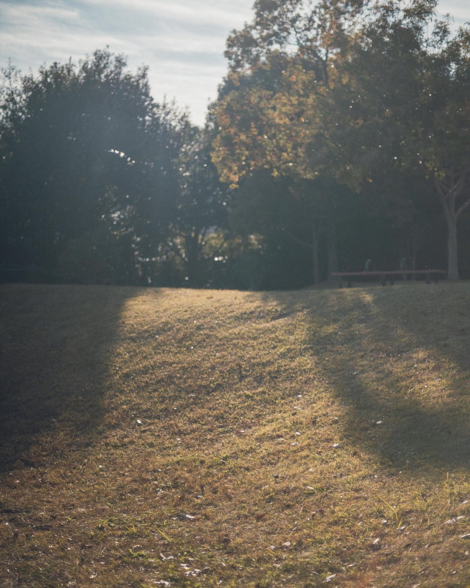 娘と採緑活動

Nikon Z5II
Ai50/1.4
