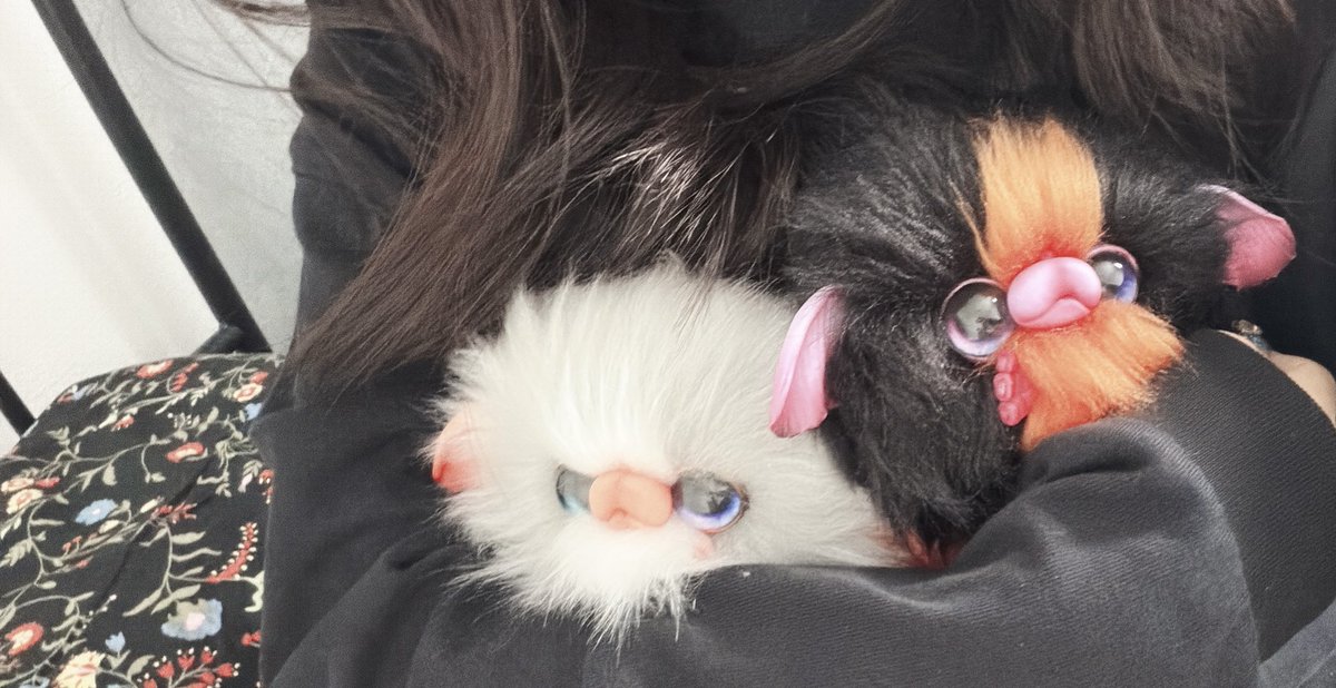 おはようございます🧛‍♀️⚰️遅
ベッドサイドにいるうちのフルフィーたち✌️抱えてコーヒー淹れにいく☕️
私もフルフィーも髪ボサボサ。。。

さて、今日はネイルを変えに行きますよ💅赤か紫かFoiカラーの青で悩みまくり😩ついでにラメにしようか、、、、
いつも決められません