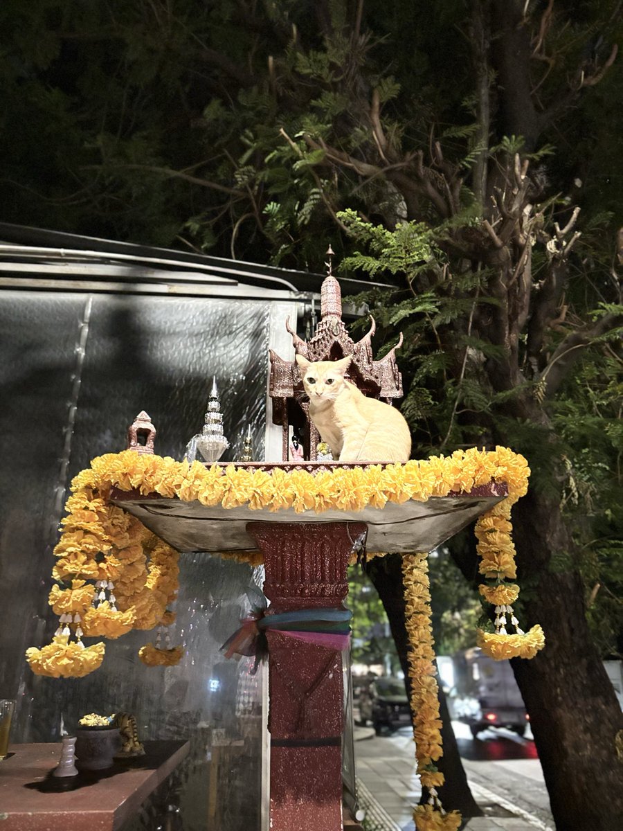 <a href="/MossannExtreem/">🇹🇭 もっさん</a> 京都生まれの私にとっては町ごとにある「お地蔵さん」や「道祖神」に似てると思います。もっさんみたいに深く考察してませんが、目に入ると必ず🙏🏼。運転でも黙礼。
ときどき、神様の実体が降臨されることも😽